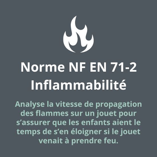 Norme de sécurité NF EN 71-2